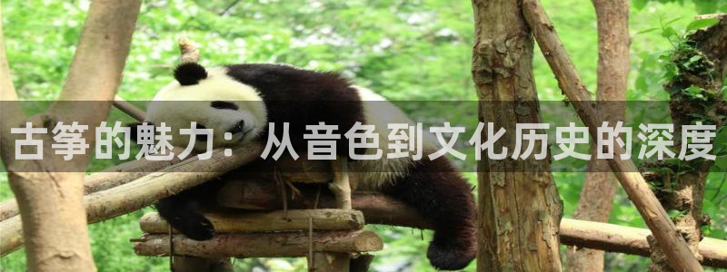 凯发官方手机app