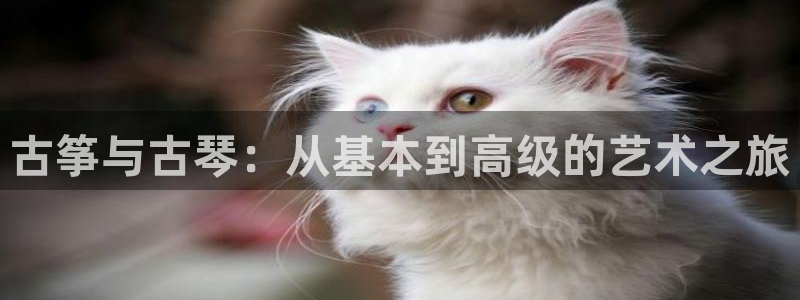 凯发k8是不是真的可靠