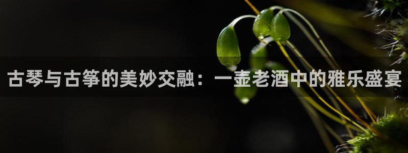 凯发官方网站下载：古琴与古筝的美妙交融：一壶老酒中的雅乐盛宴