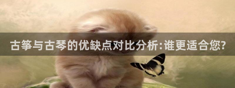 凯发手机官网：古筝与古琴的优缺点对比分析:谁更适合您?